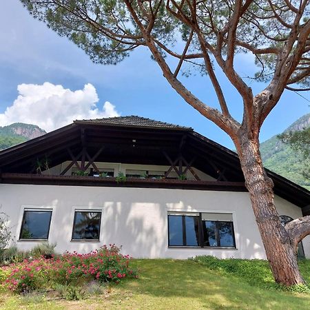 Villa Pinie Apt 1 تيرلانو المظهر الخارجي الصورة